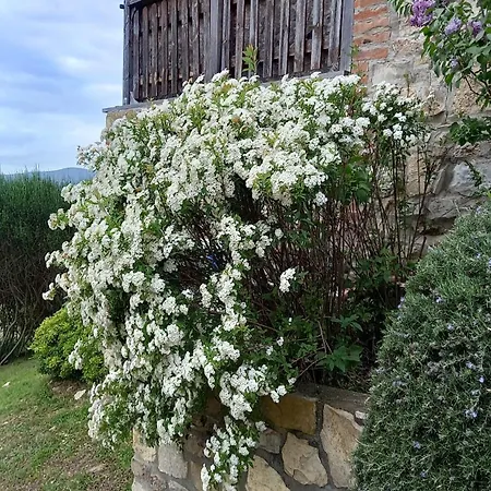 Nyaraló Podere Casalbosco - Idromassaggio E Panorama *