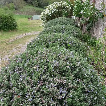 Podere Casalbosco - Idromassaggio E Panorama Ferienhaus Rapolano Terme